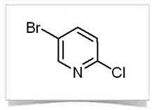 2-chloro-5-bromopyridine