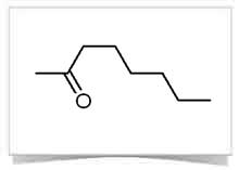 Octane Derivatives, 1,8-Dibromooctane, 1,8-Octanediol, 2-Octanone