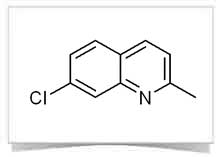 quinoline-6-carboxylic-acid